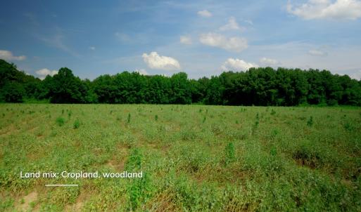 Sampson County Property Still Photo16