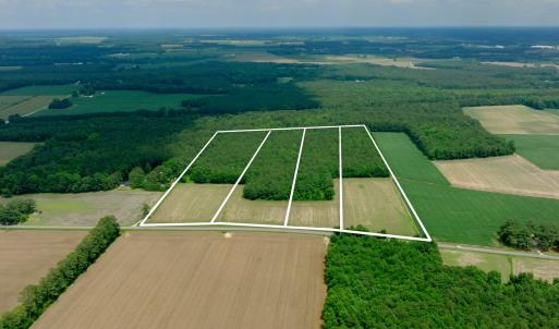 Photo #18 of 2 Bowden, Turkey, NC 11.0 acres