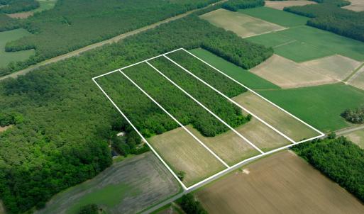 Photo #10 of 2 Bowden, Turkey, NC 11.0 acres