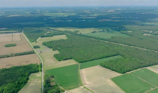 Photo #25 of 2 Bowden, Turkey, NC 11.0 acres