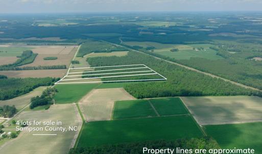 Photo #3 of 2 Bowden, Turkey, NC 11.0 acres