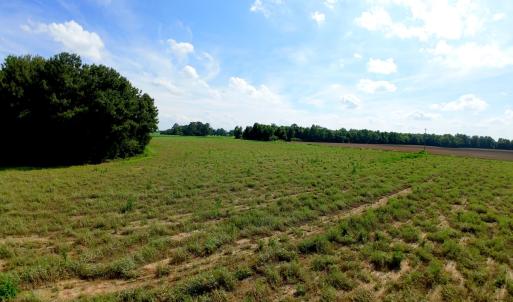Photo #29 of 2 Bowden, Turkey, NC 11.0 acres