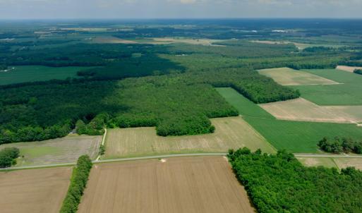 Photo #20 of 2 Bowden, Turkey, NC 11.0 acres