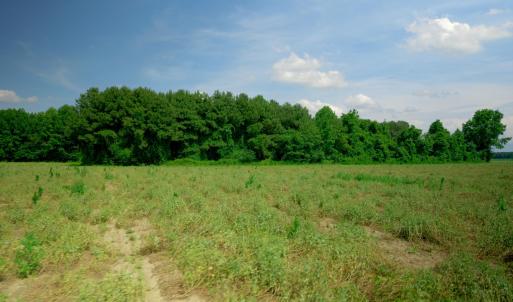 Photo #28 of 2 Bowden, Turkey, NC 11.0 acres