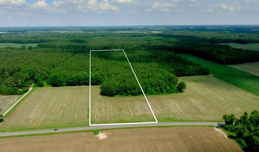 Photo #2 of 2 Bowden, Turkey, NC 11.0 acres