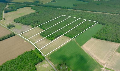 Photo #7 of 2 Bowden, Turkey, NC 11.0 acres