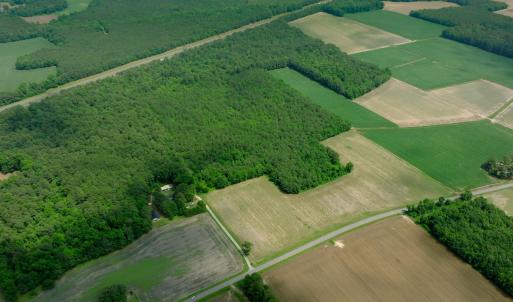 Photo #23 of 2 Bowden, Turkey, NC 11.0 acres