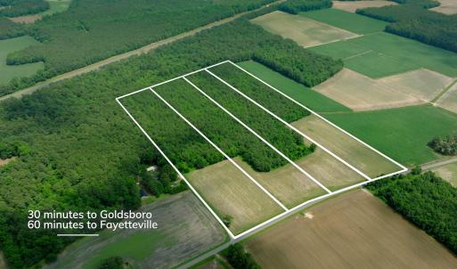 Photo #9 of 2 Bowden, Turkey, NC 11.0 acres