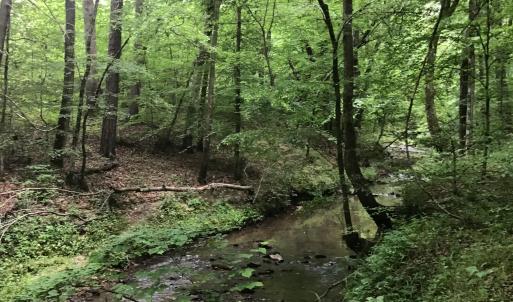 Bordering Stream
