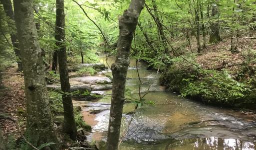 Stream Picture