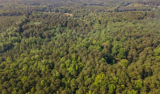 001_dji_0028-edit