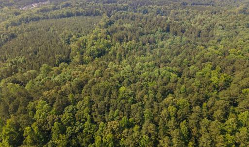 003_dji_0036-edit