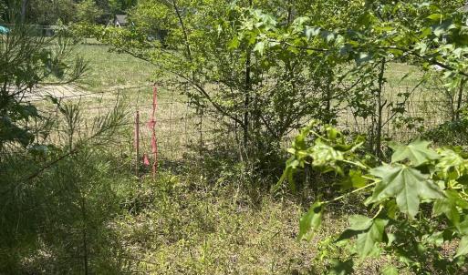 Photo #4 of 9731 Old Middlesex, Middlesex, NC 1.2 acres