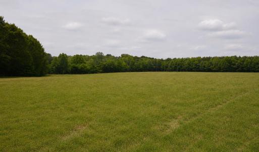 2822 Little River Church- 40 acres