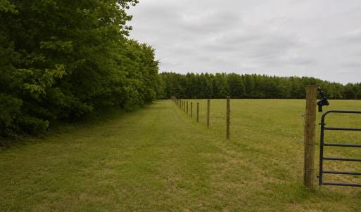 2822 Little River Church- 40 acres