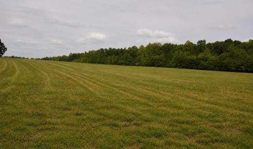 2822 Little River Church- 40 acres