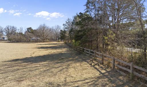 Close Up with Fence