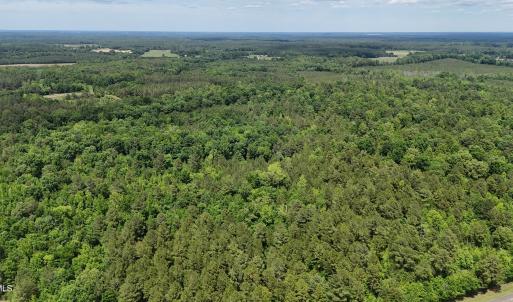 dji_fly_20260601_144242_0029_17803396392