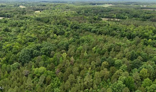 dji_fly_20260601_143946_0022_17803396410