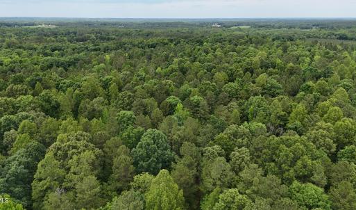 dji_fly_20260601_143838_0020_17803396416