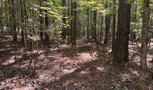 Photo #5 of 120 Anfield, New Hill, NC 2.2 acres