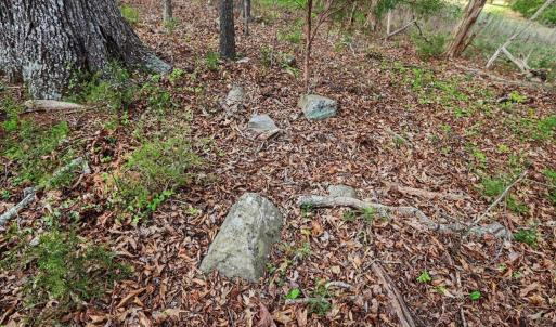 113-112-RidgevilleRd-Land-20260401