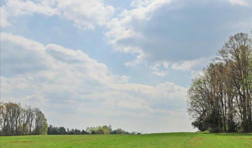 037-036-RidgevilleRd-Land-20260401