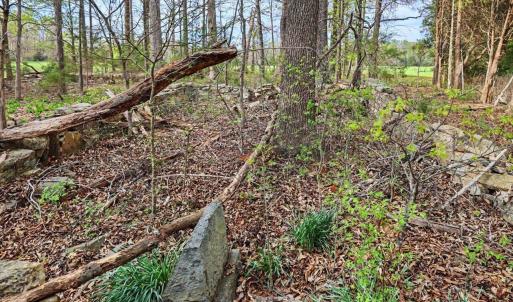 111-110-RidgevilleRd-Land-20260401