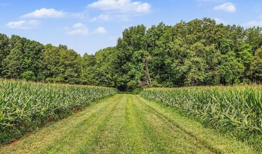 029-RidgevilleRd-HickoryLevelFarm-Revisi