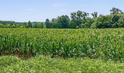 030-RidgevilleRd-HickoryLevelFarm-Revisi