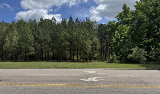18.5 acres Sherron Rd. - View from Sherr