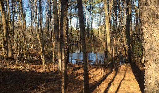 Photo #6 of 586 Shade Tree, Benson, NC 4.5 acres