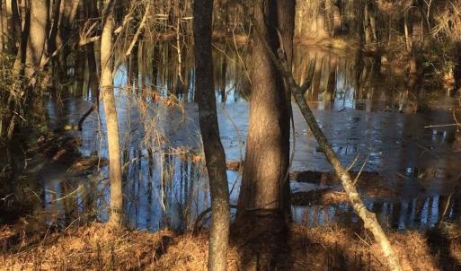 Photo #10 of 586 Shade Tree, Benson, NC 4.5 acres