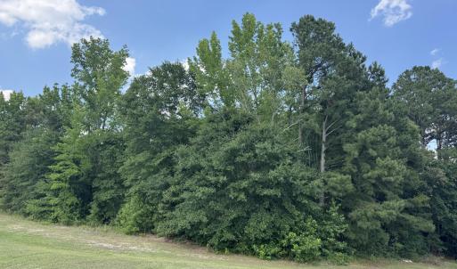 Photo #7 of 586 Shade Tree, Benson, NC 4.5 acres