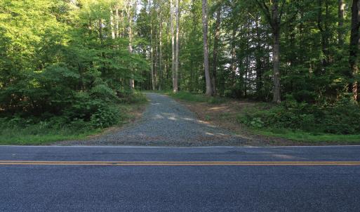 Photo #8 of 6810 Sawyer, Liberty, NC 11.4 acres