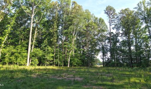 Photo #13 of 6810 Sawyer, Liberty, NC 11.4 acres