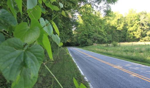 Photo #7 of 6810 Sawyer, Liberty, NC 11.4 acres