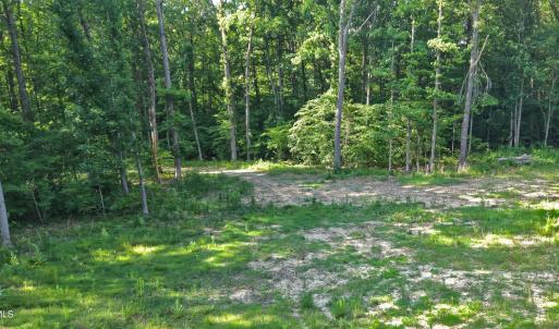 Photo #12 of 6810 Sawyer, Liberty, NC 11.4 acres