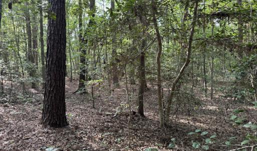 Private Wooded Acreage