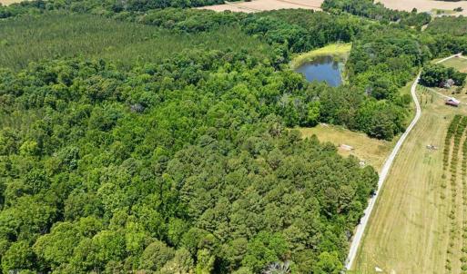 Photo #8 of Russell, Graham, NC 70.3 acres