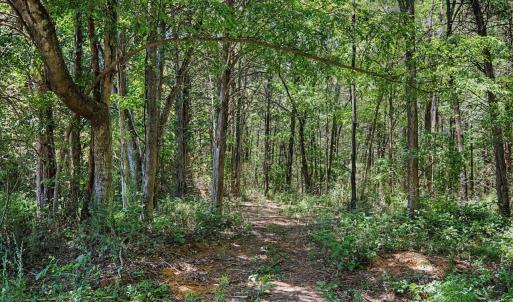 Photo #18 of Russell, Graham, NC 70.3 acres