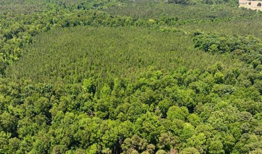 Photo #13 of Russell, Graham, NC 70.3 acres