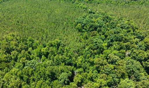 Photo #12 of Russell, Graham, NC 70.3 acres