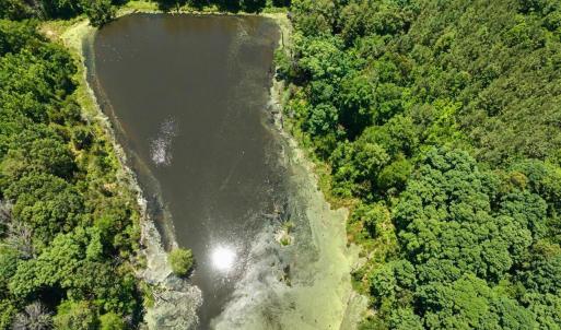 Photo #5 of Russell, Graham, NC 70.3 acres