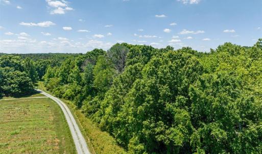 Photo #16 of Russell, Graham, NC 70.3 acres