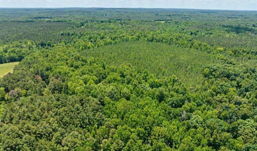 Photo #11 of Russell, Graham, NC 70.3 acres