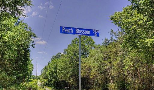 Photo #19 of Russell, Graham, NC 70.3 acres