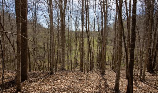 Doll Branch Road 30