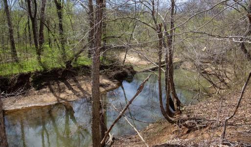 Doll Branch Road 19
