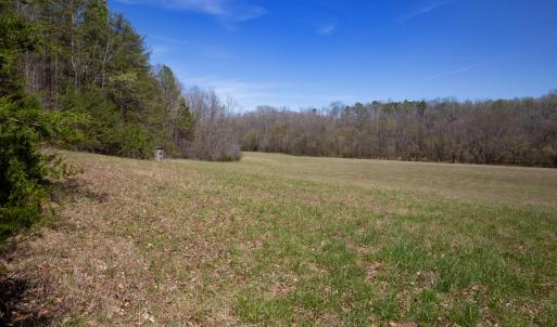 Doll Branch Road 18